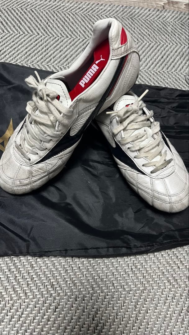 MIZUNO モレリアII JAPAN /クロスステッチ/25cm（専用）