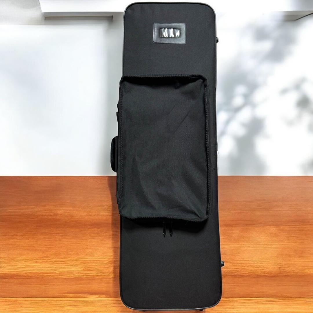 ☆美品 沖縄 琉球 三線 本蛇革 本革 蛇革 本皮 蛇皮 爪 ケース付 伝統楽器