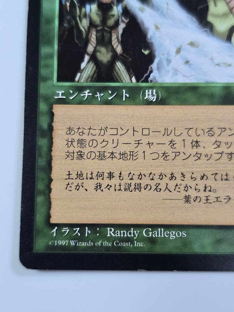 MTG 《大地の知識/Earthcraft》[TMP] 日本語