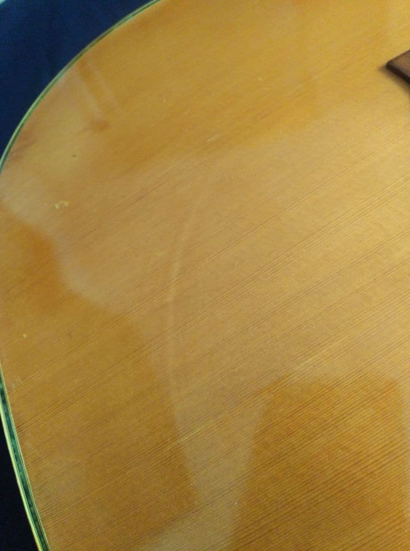 TAKEHARU GUITAR　WT-250　made in Japan