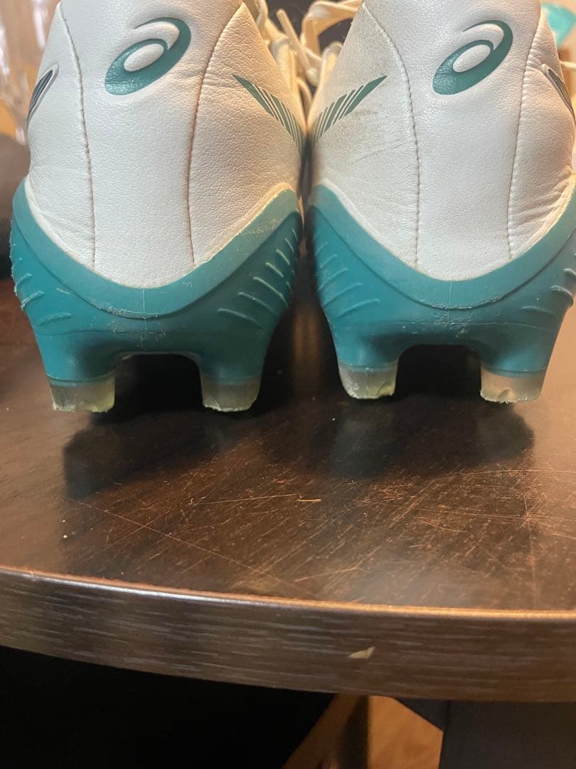 DS LIGHT X-FLY MOIS TECT 26.5㎝