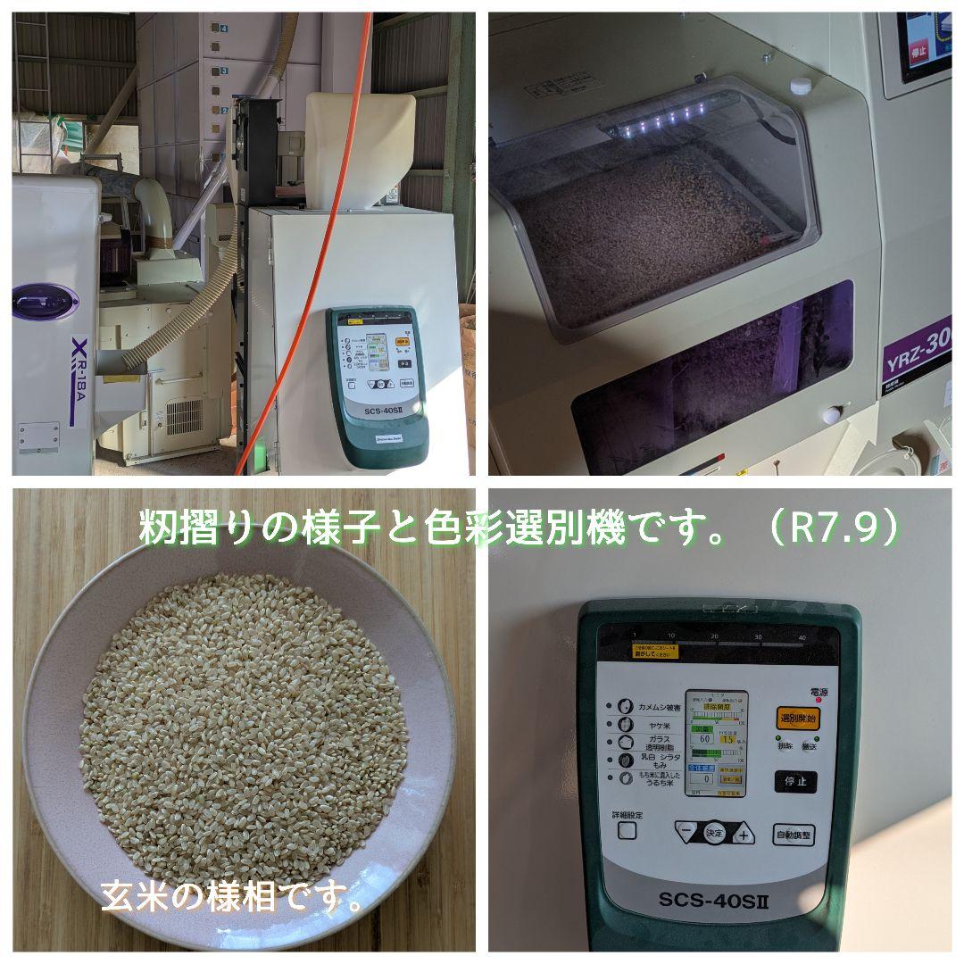 令和7年産三重県伊賀産キヌヒカリ15kg普通精米（5kg×3）
