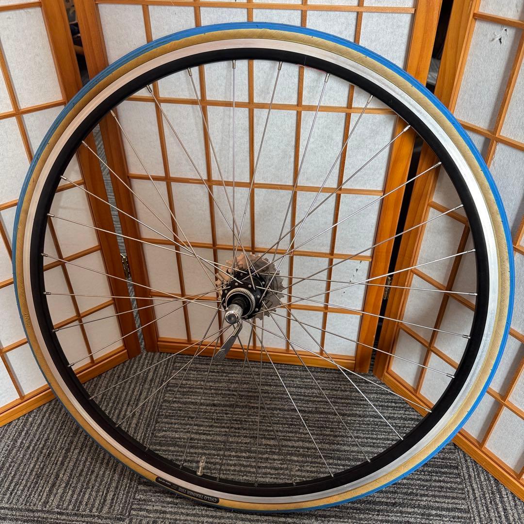 GIANT CYCLOTRON FLUID ST フルード式 サイクルトレーナー