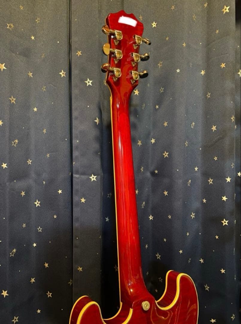 Aria Pro 2 TA-700 (Ritter Gig Bag付き)