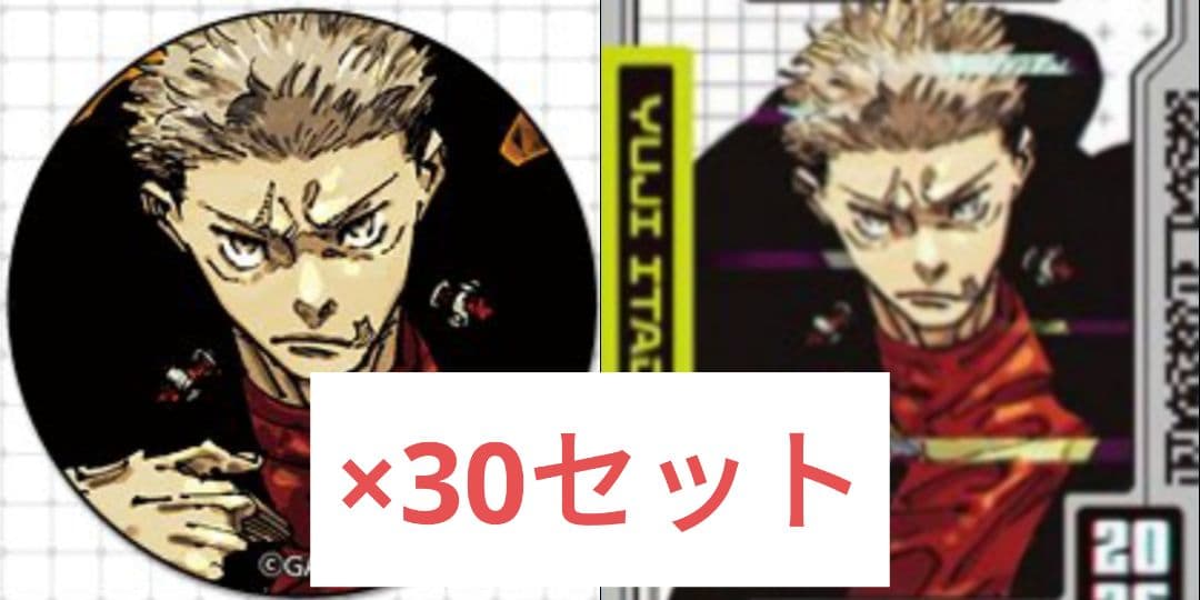 虎杖悠仁　呪術廻戦　缶バッジ　ホロカード　ジャンプGIGA　WINTER　d1