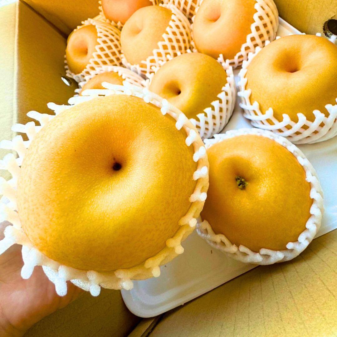 梨　新高梨　10玉　　25