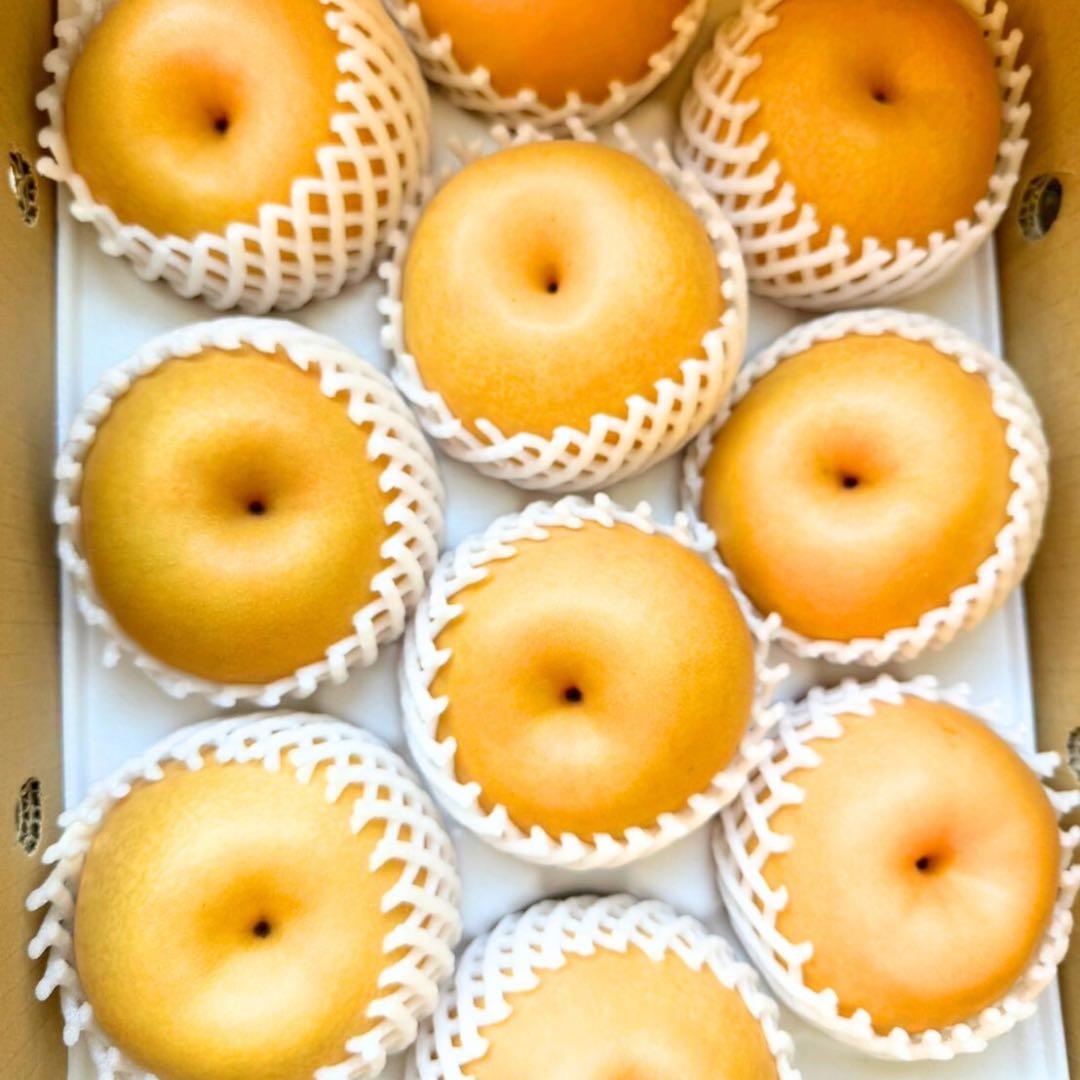 梨　新高梨　10玉　　25