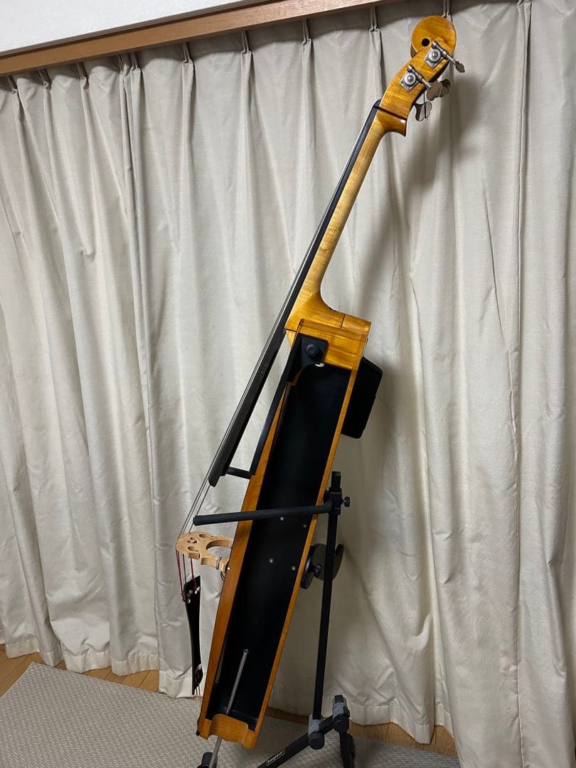 弦楽器 Alter Ego Figaro K Equipment