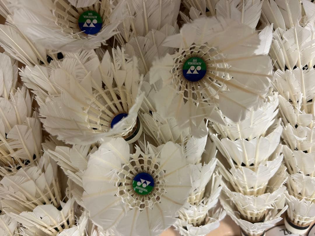 バドミントン中古シャトル　ヨネックス　ゴーセン他　240球