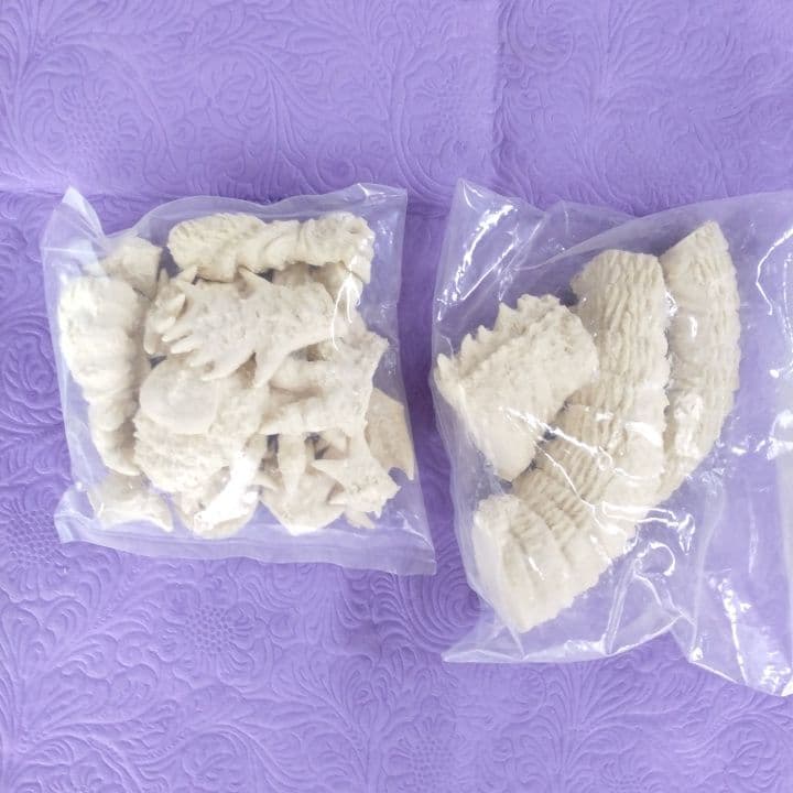 浅井造型 逆ゴジ 大阪蹂躪