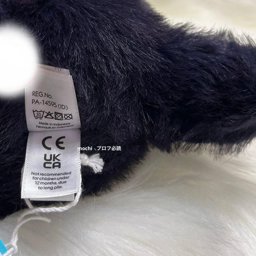 ボンボン＊プロフ必読＊ ページ HocusCrowカラス