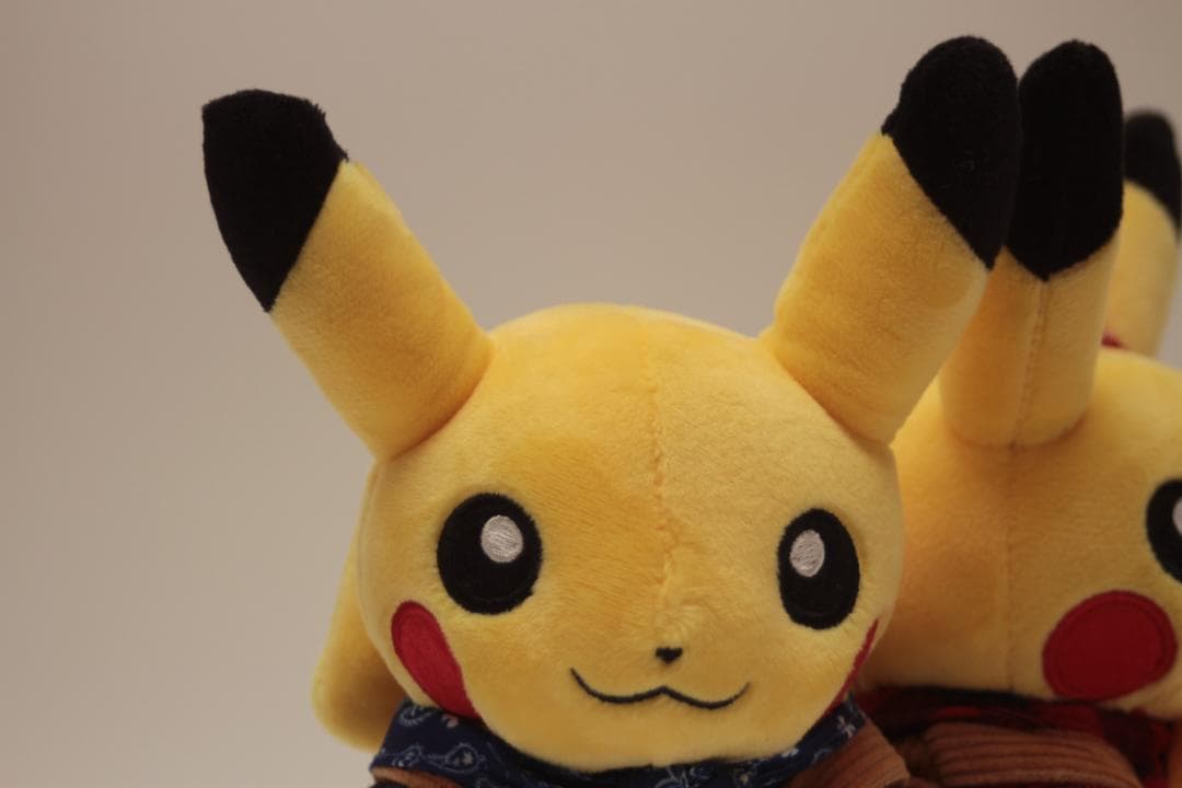 限定品 マンスリーペアピカチュウ ぬいぐるみ モモンのみ