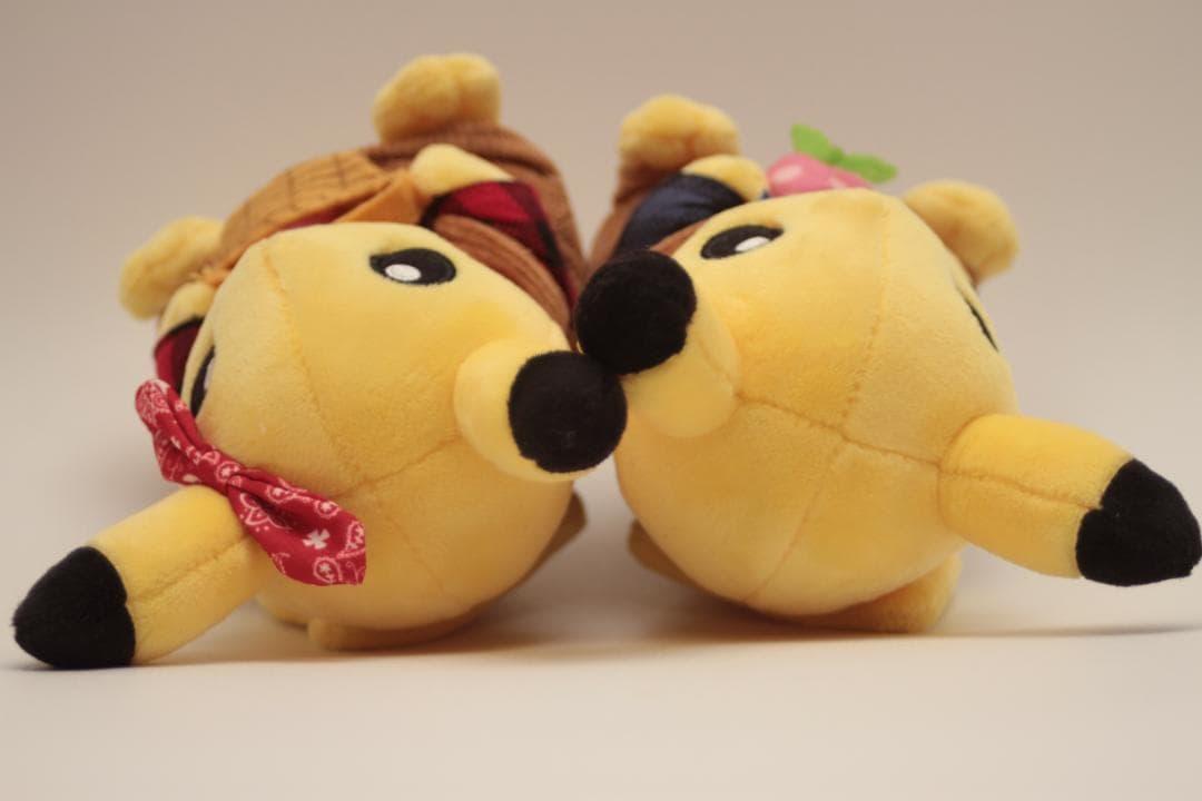 限定品 マンスリーペアピカチュウ ぬいぐるみ モモンのみ