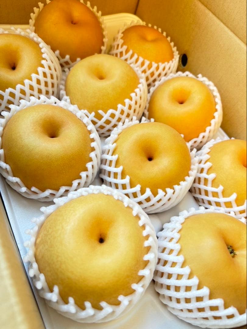 梨　新高梨　10玉　　15