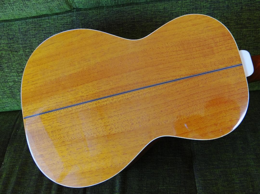 Fender CATALINA アコースティックギター 花子