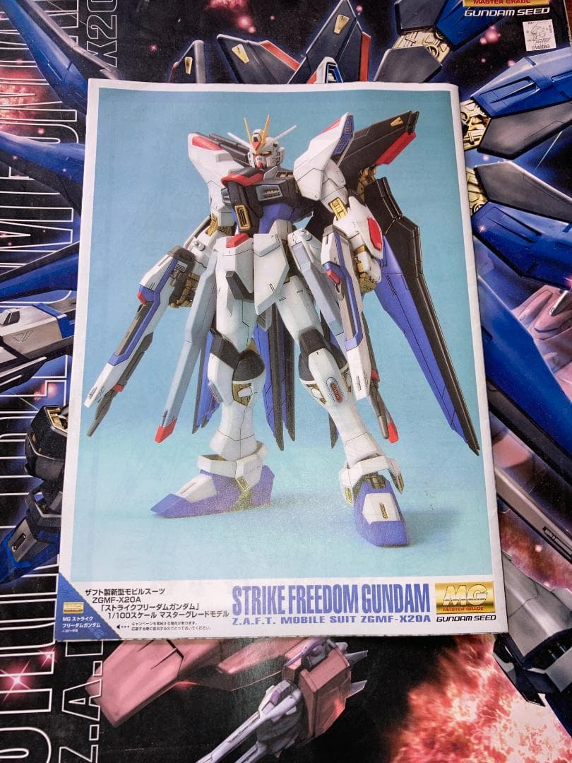 MG ストライクフリーダムガンダム / ガンプラ全塗装完成品