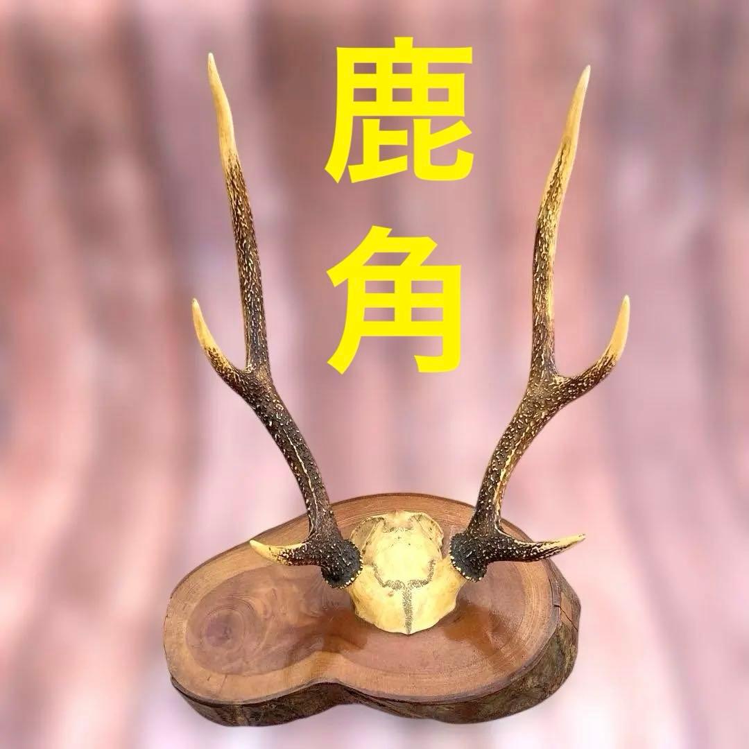 刀掛け　日本刀　模造刀