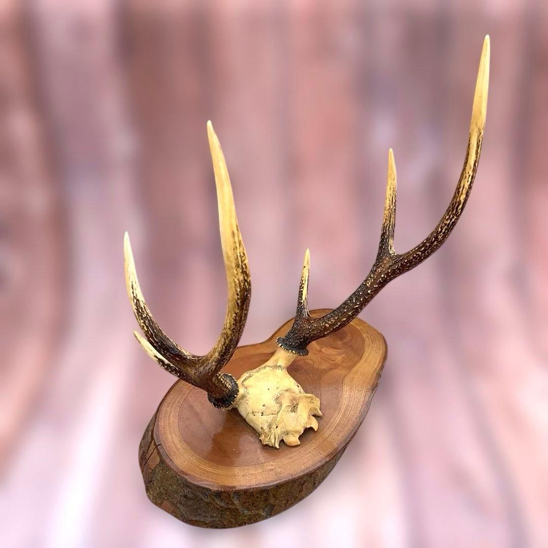 刀掛け　日本刀　模造刀