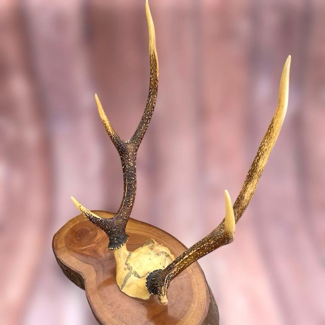 刀掛け　日本刀　模造刀