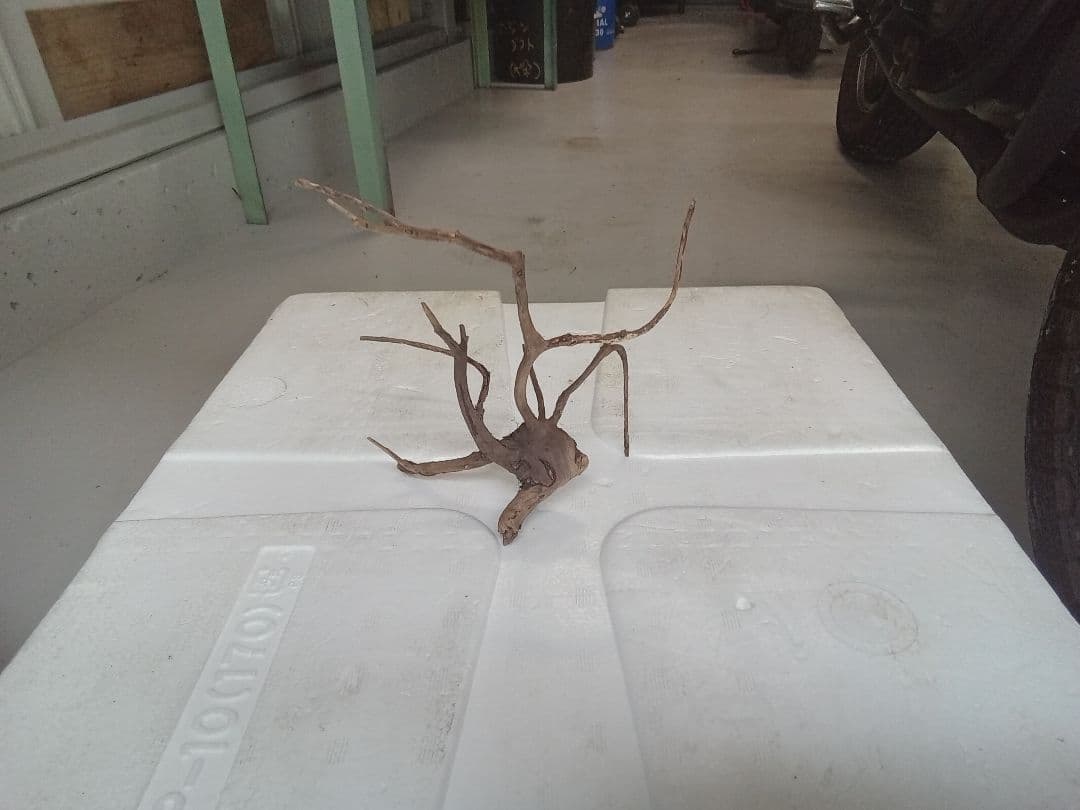 流木　詰め合わせ