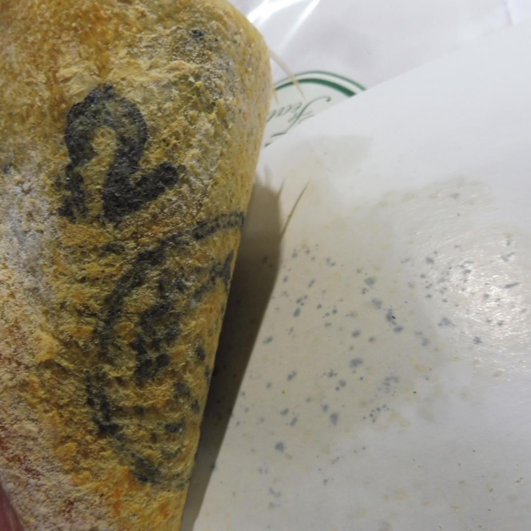 メッツ METZ コックハックルケープ #2 Lt.Ginger