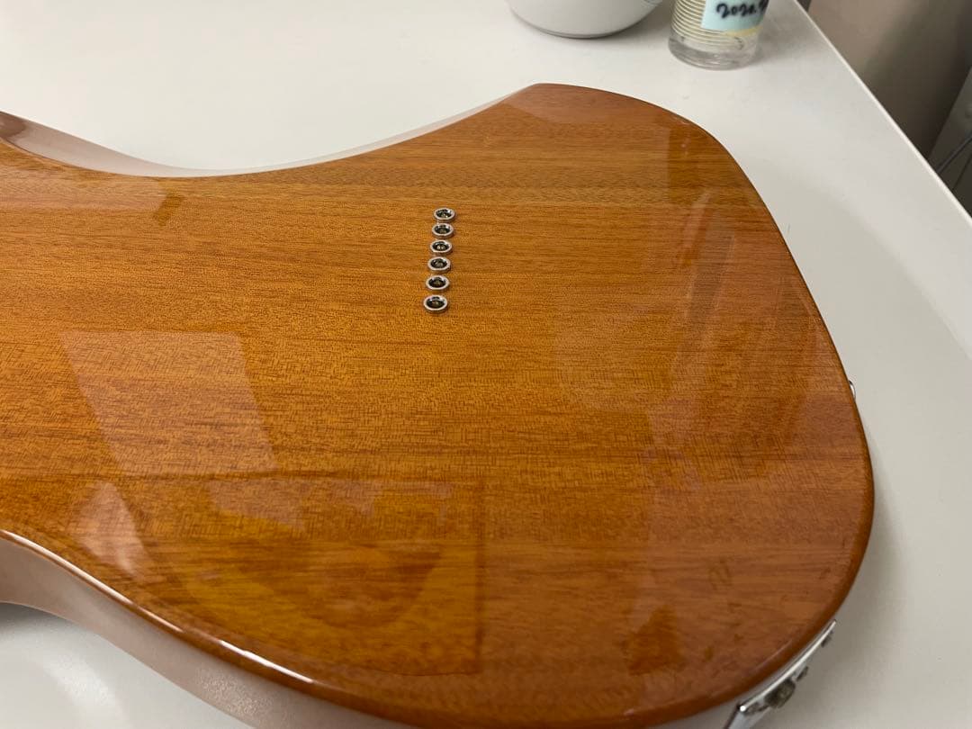 限定生産モデル Schecter OL-PT-TH ホロウボディ