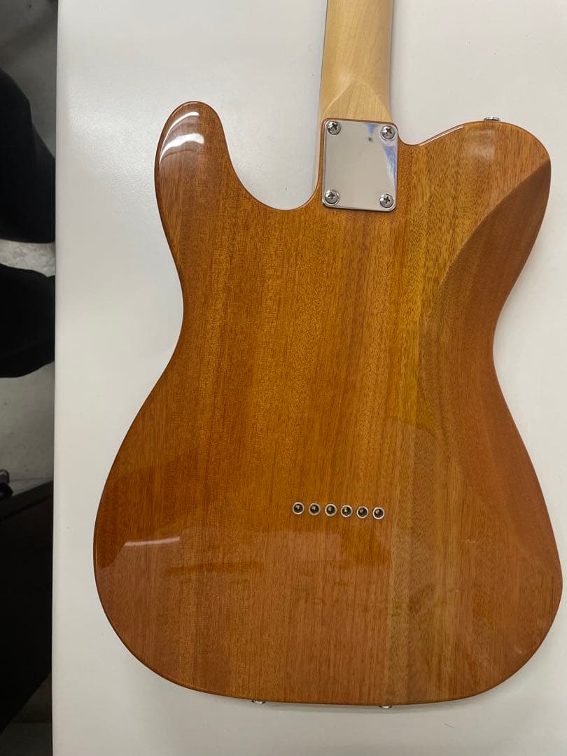 限定生産モデル Schecter OL-PT-TH ホロウボディ