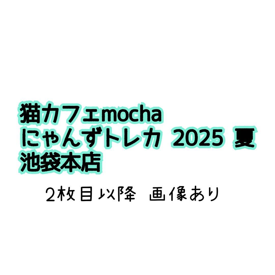 【猫カフェMOCHA 】池袋本店 2025年 夏Summer トレカ