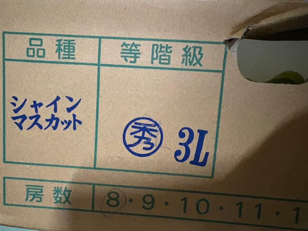 山梨県産　特大シャインマスカット　8房セット　5kg
