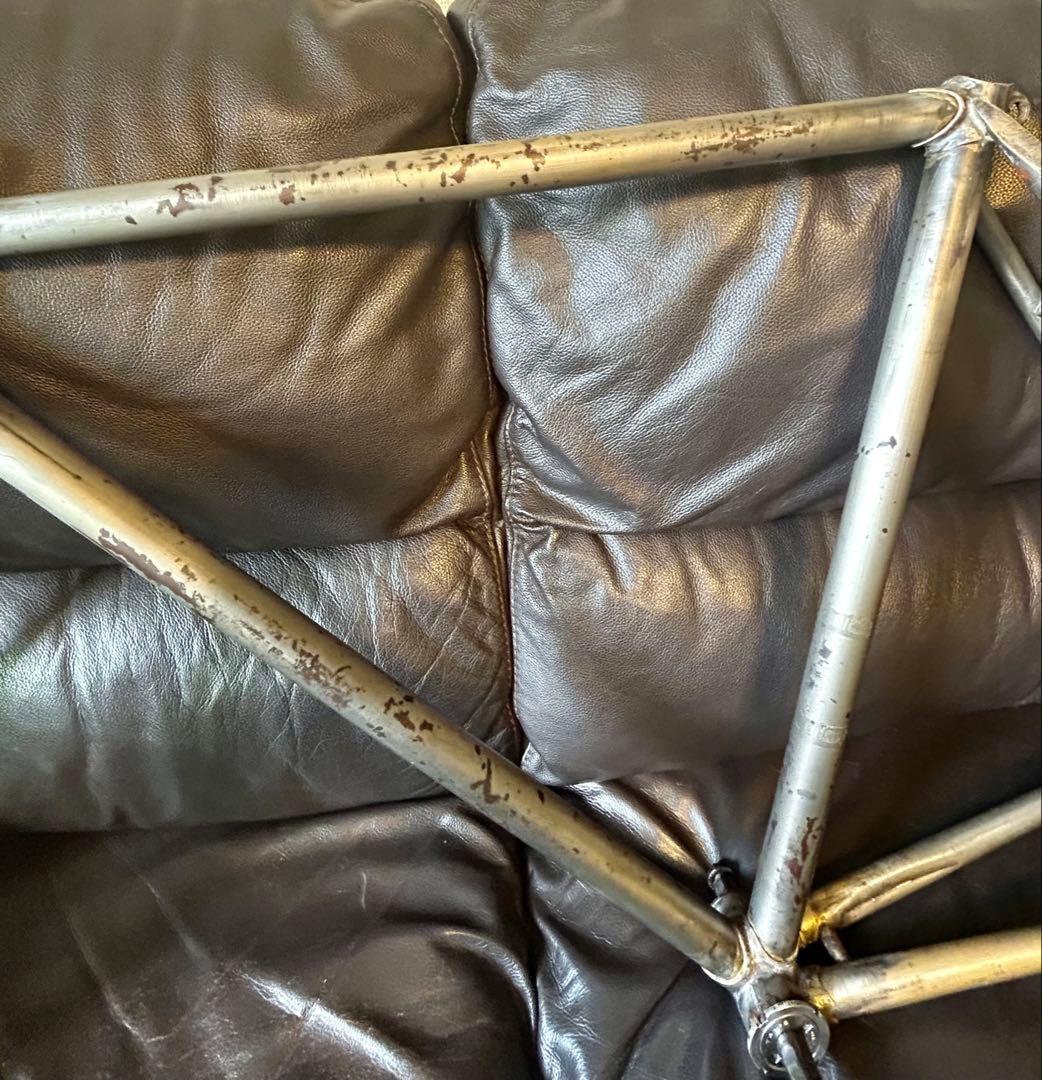 希少‼️  SHARK アイランドシャーク　ヴィンテージフレーム