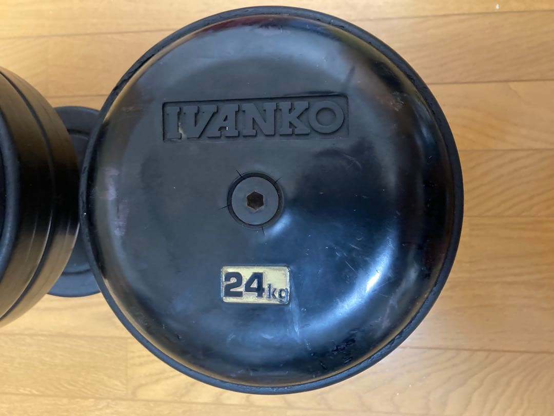①ivanko ジム用ラバーダンベル24kg　ゴールドジム アイロテック