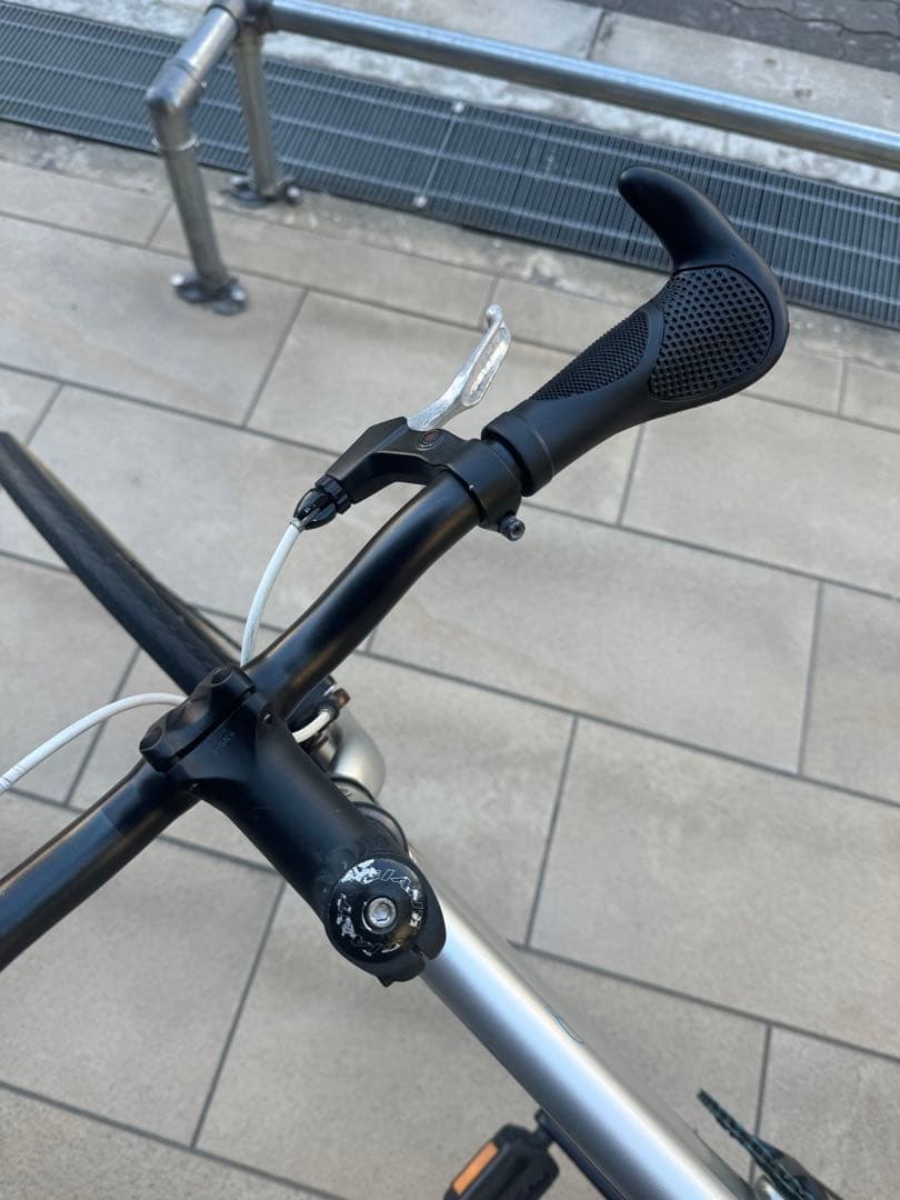 Giant fixer ピストバイク