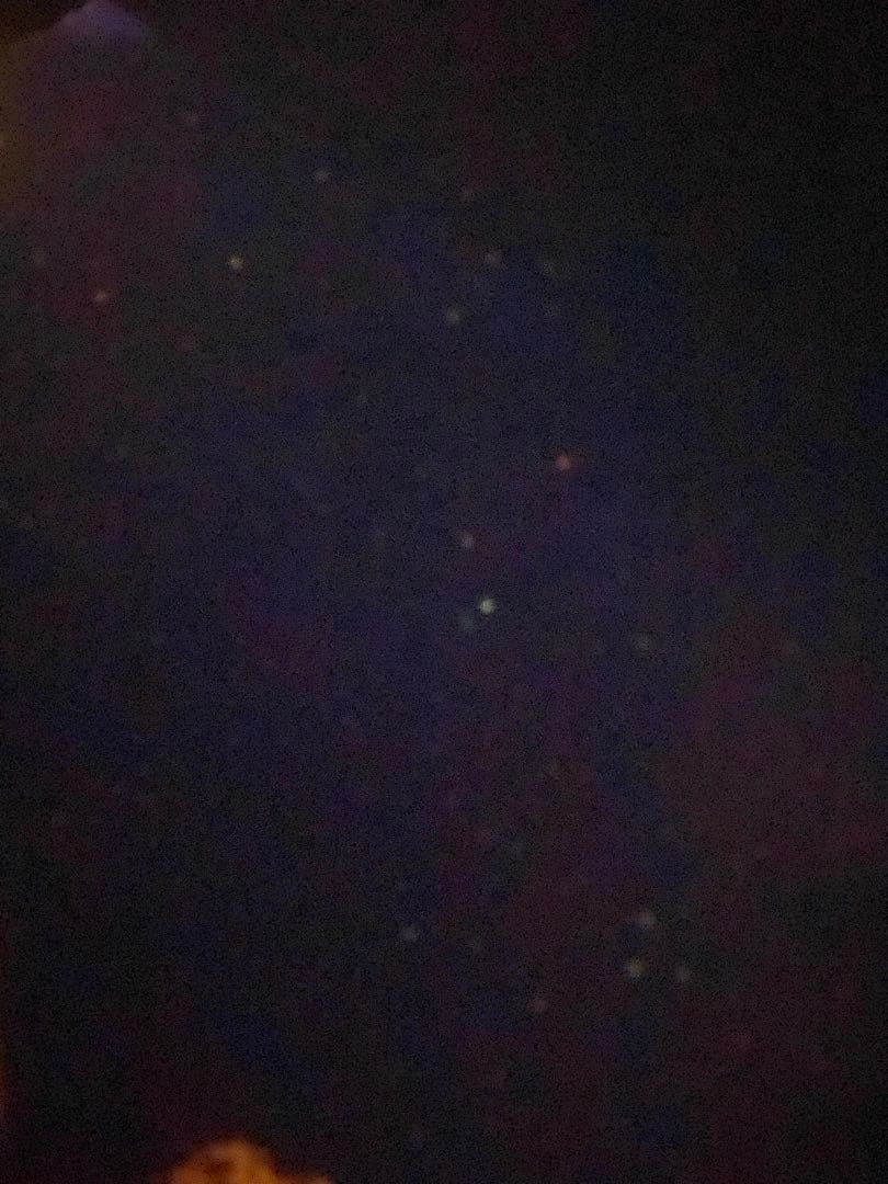 Bumblebeelovesyou シルクスクリーン　アート　バンクシー