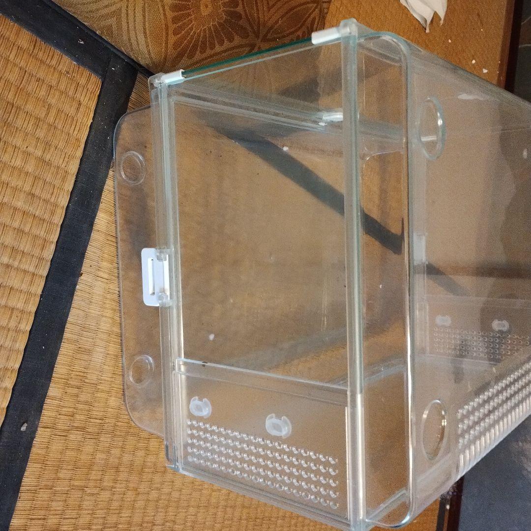 アクリル製虫かご 約44cm x 29cm x 18cm