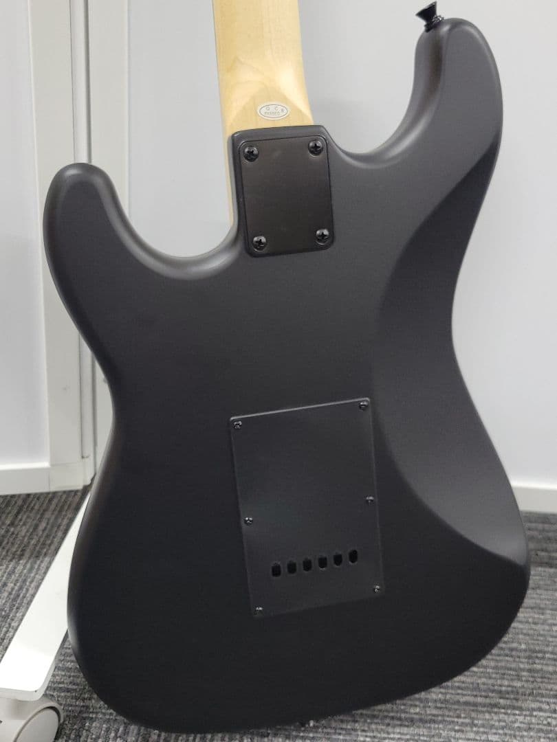 【美品】SELDER エレキギター マットブラック