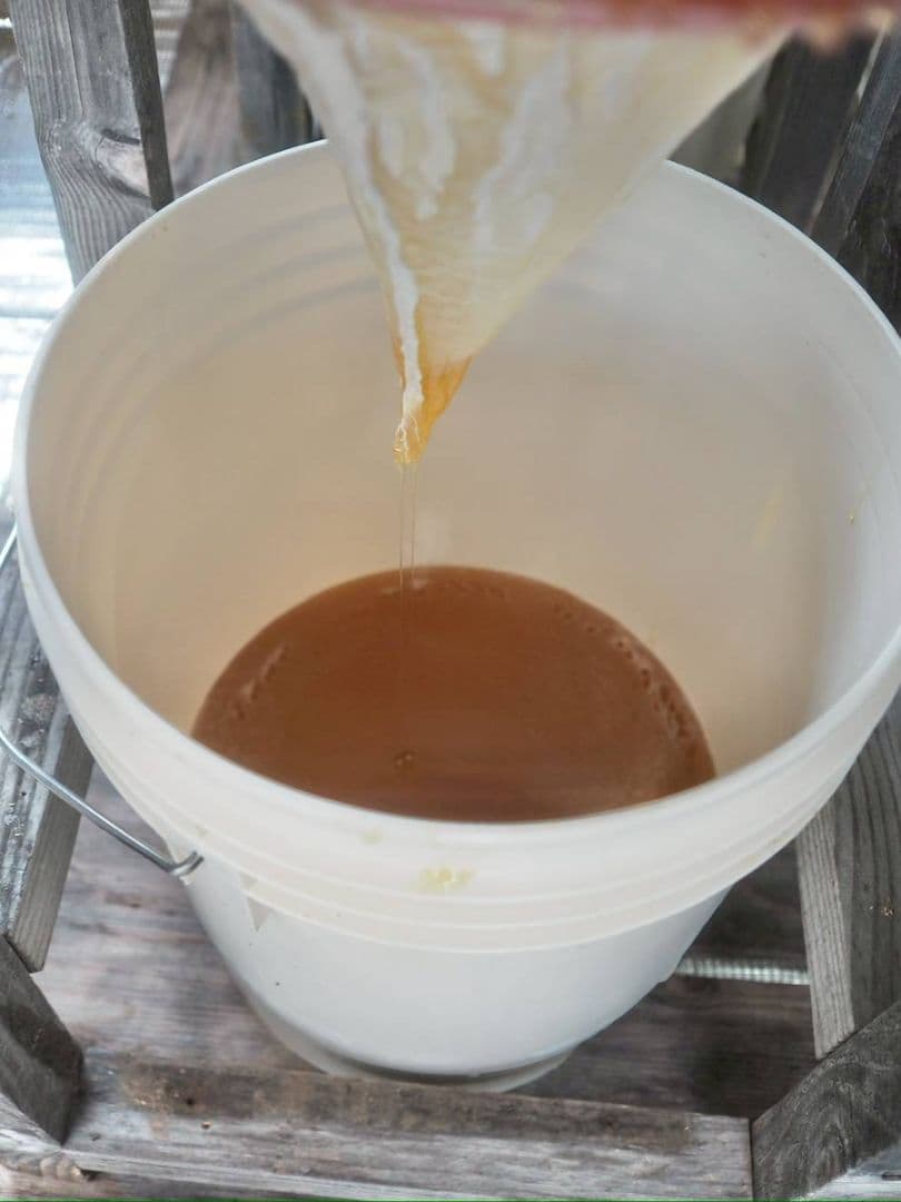 日本ミツバチ完熟蜂蜜（600g✕2）