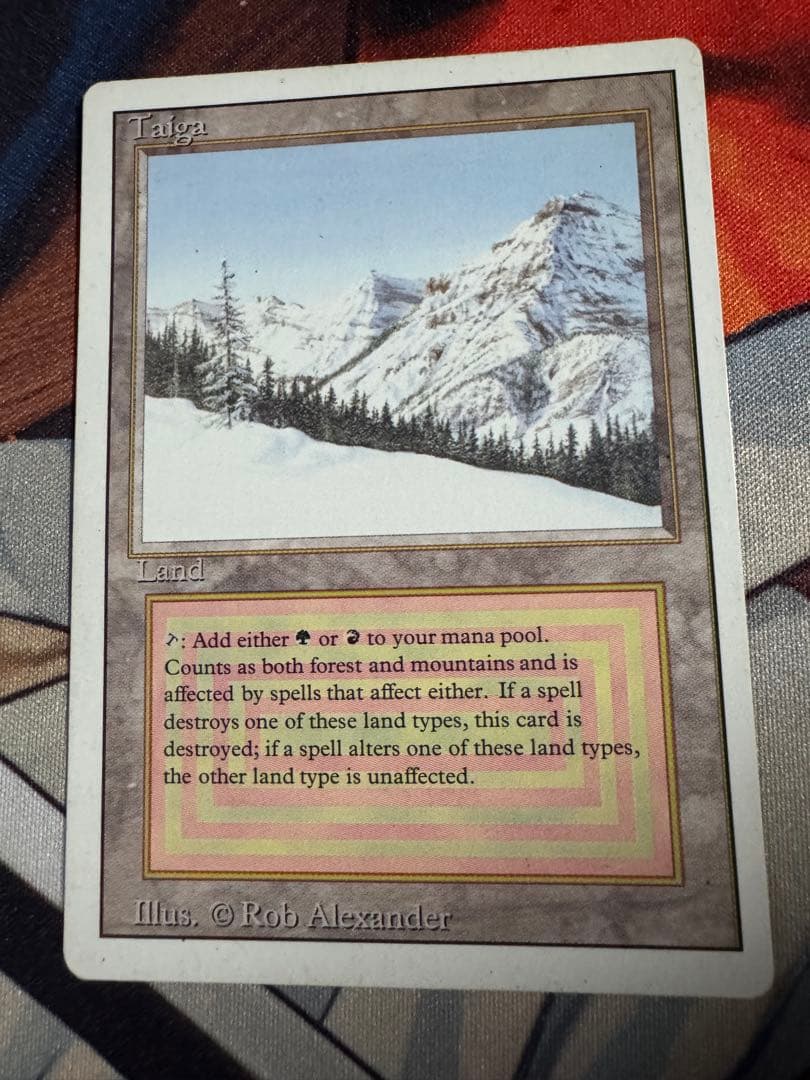 MTG　Taiga　3ED英　1枚