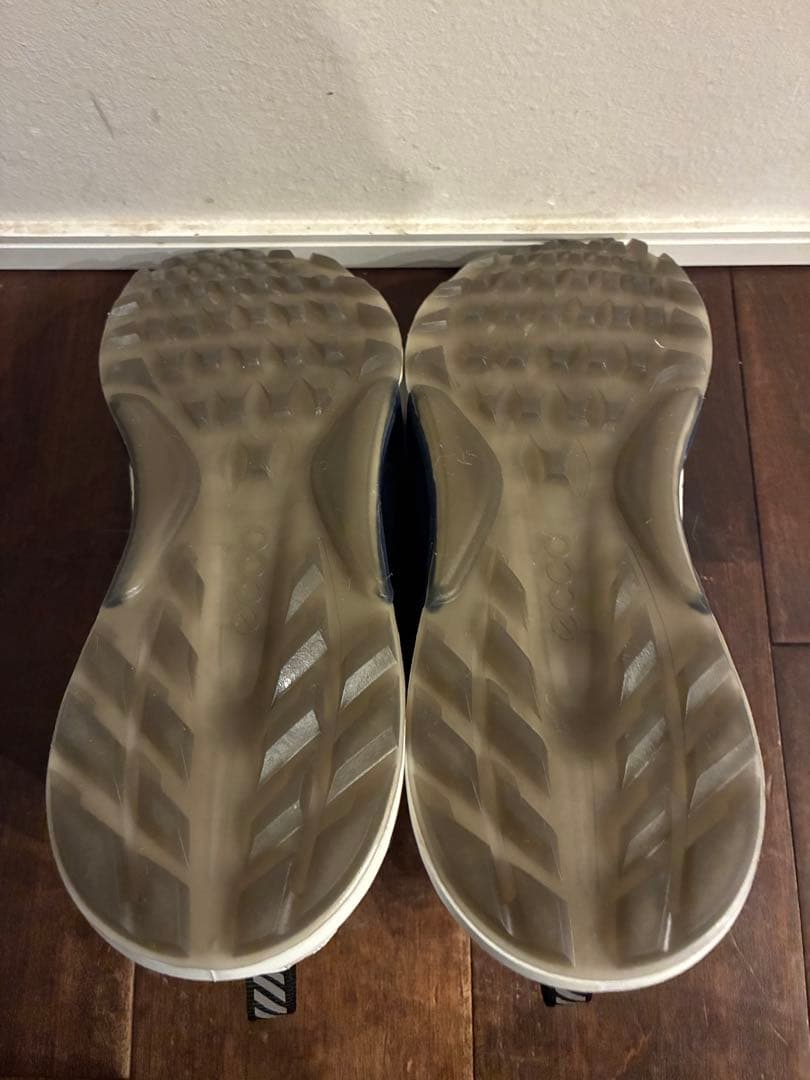 本日限定価格Ecco Biom C4 Boa System Golf shoes