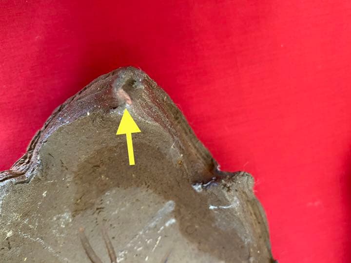 好本宗峯 木の葉皿 5枚【希少品】 備前