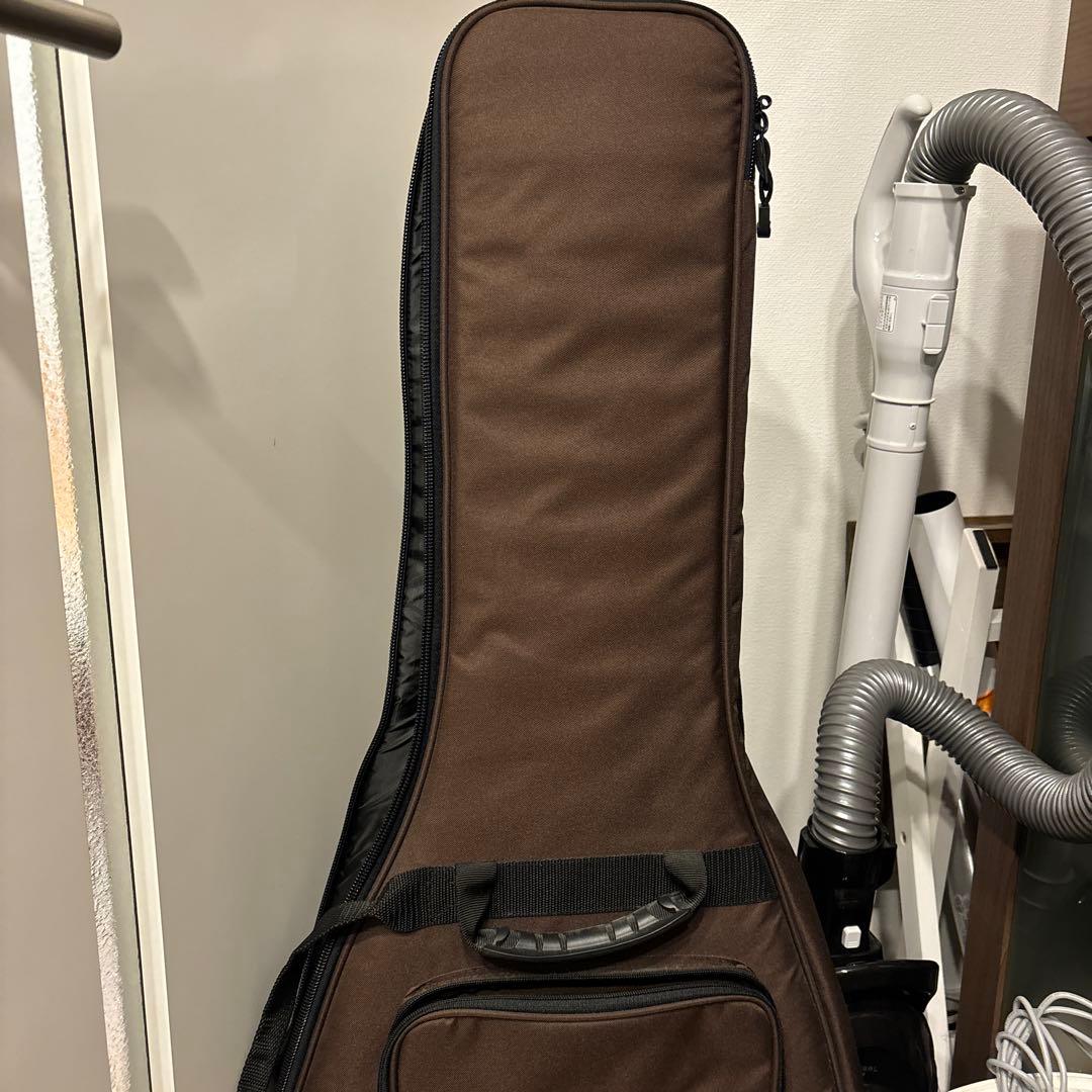 太田企画　PRS S2 Custom24 チャコール