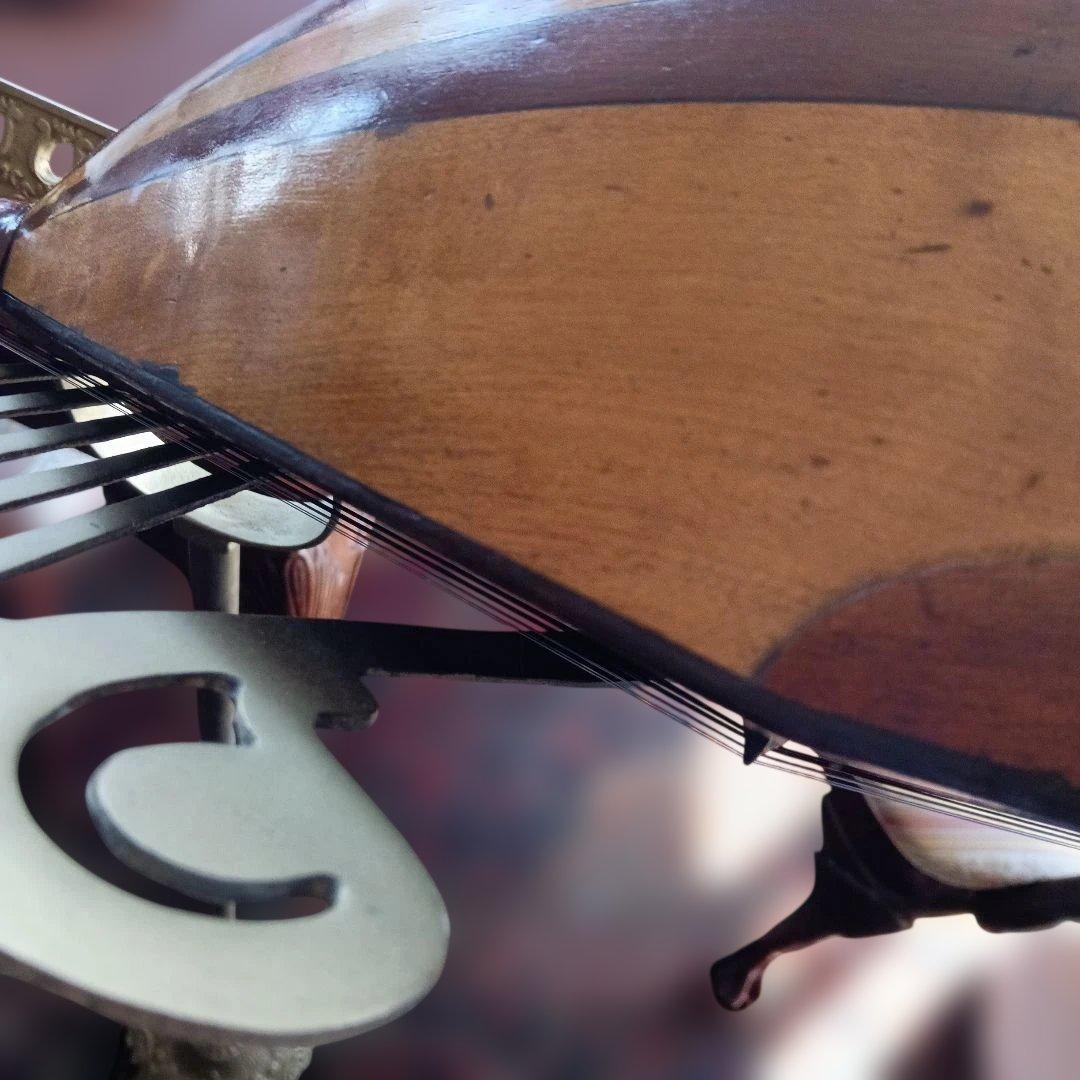 鈴木政吉　アンティーク　 マンドリン