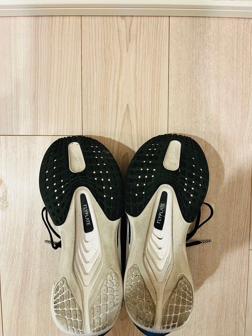 ナイキ　ズームフライ6 28.0