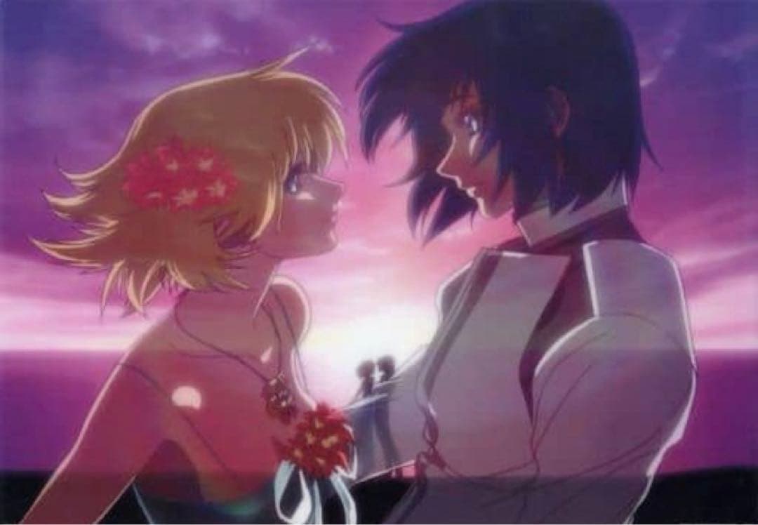 機動戦士ガンダムSEED アスラン ＆ カガリ　アートポスター(プラ製)