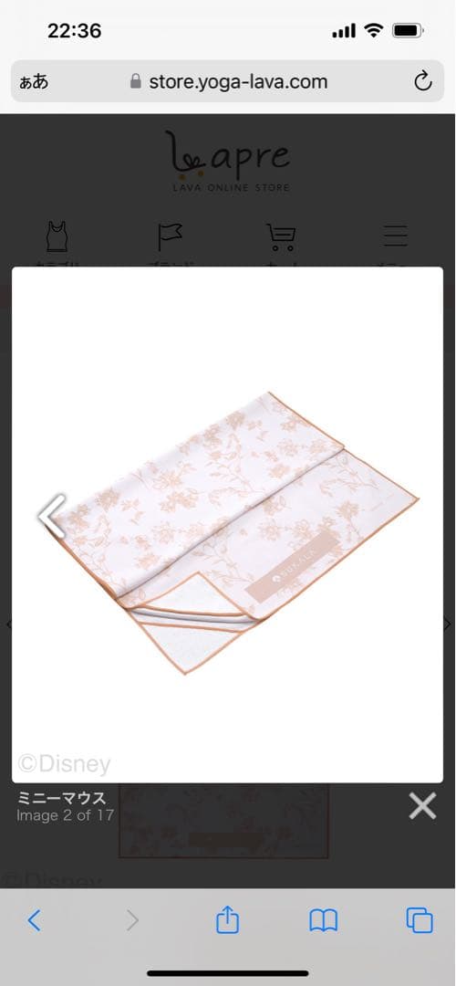 LAVA SUKALA ミニー　ヨギラグ