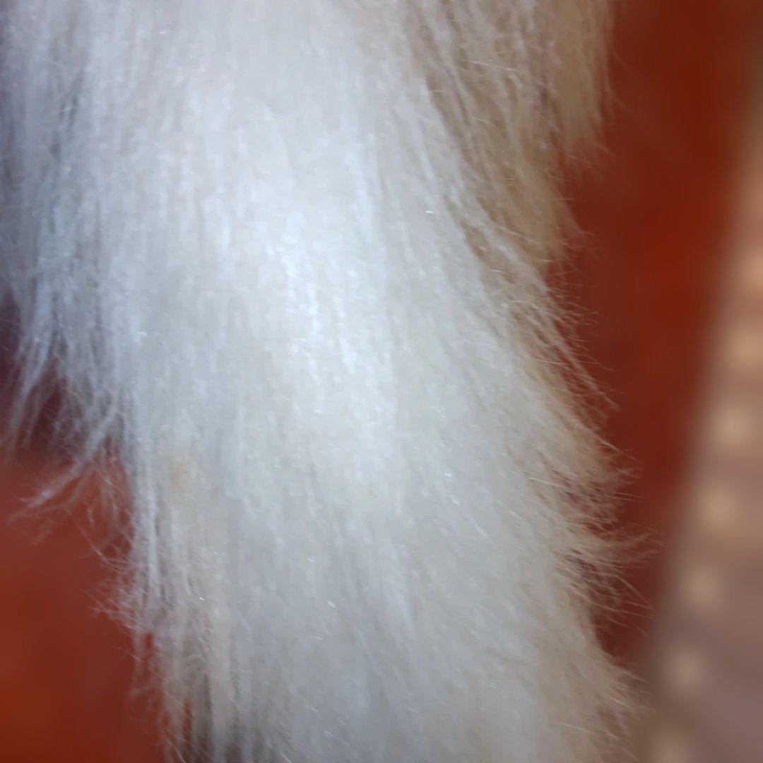 三英グレイスフル　ペルシャ猫　日本製　アクリル　大型　ラスト