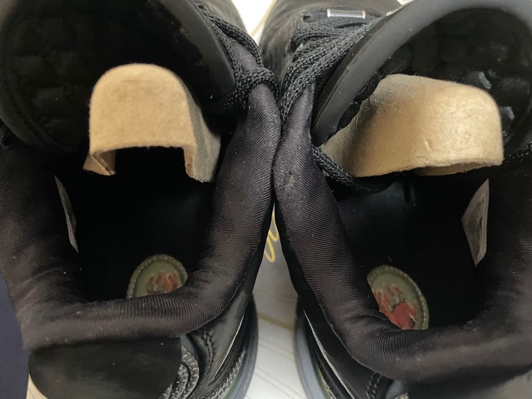 Nike レブロン 21 EP FB2236-001 タイタン