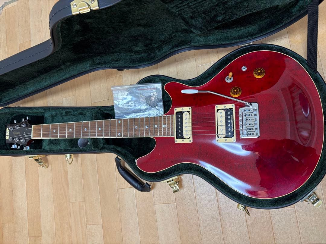【希少、美品】ESP potbelly TR 専用ハードケース付き