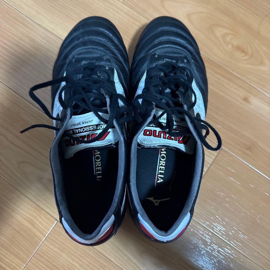 モレリアスパイク2japan