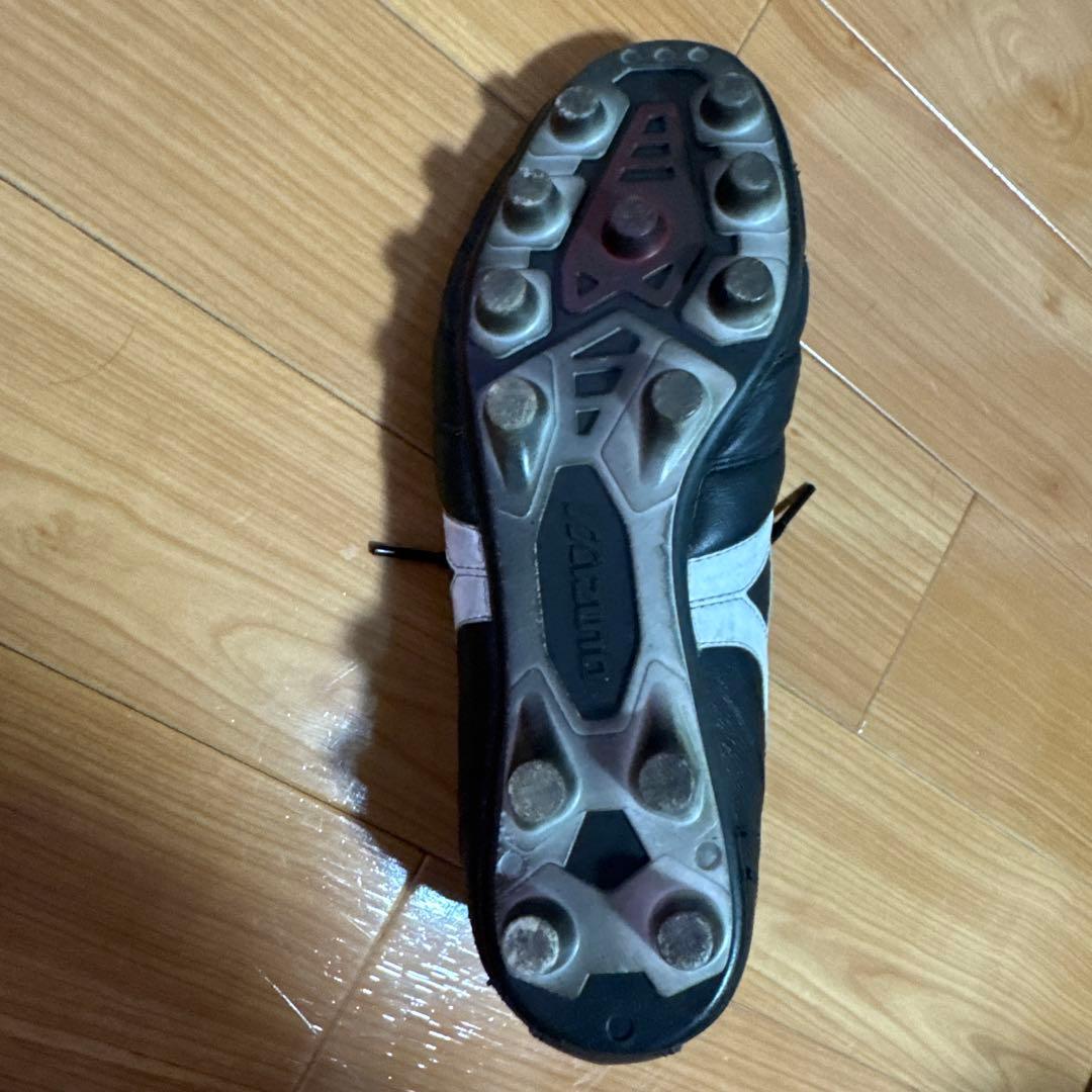 モレリアスパイク2japan