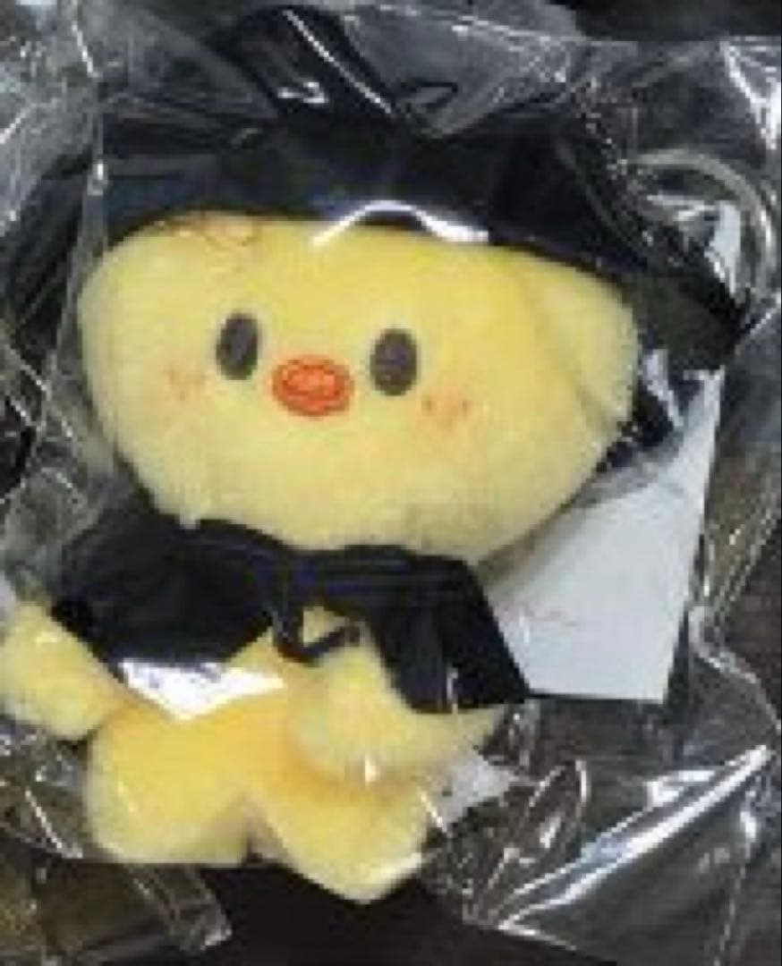 StrayKids スキズ SKZOO COSTUME PLUSH ポガリ